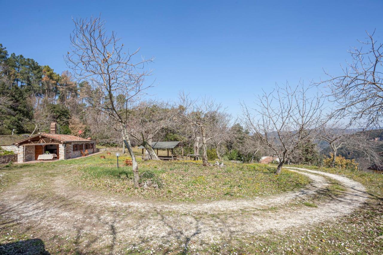 Casa Nel Bosco Villa Sassetta Dış mekan fotoğraf
