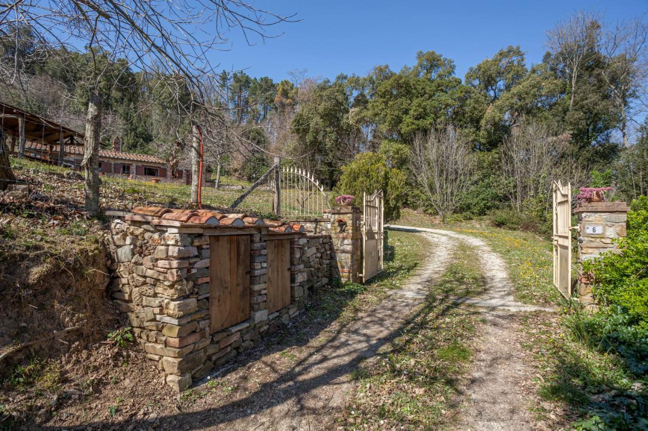 Casa Nel Bosco Villa Sassetta Dış mekan fotoğraf