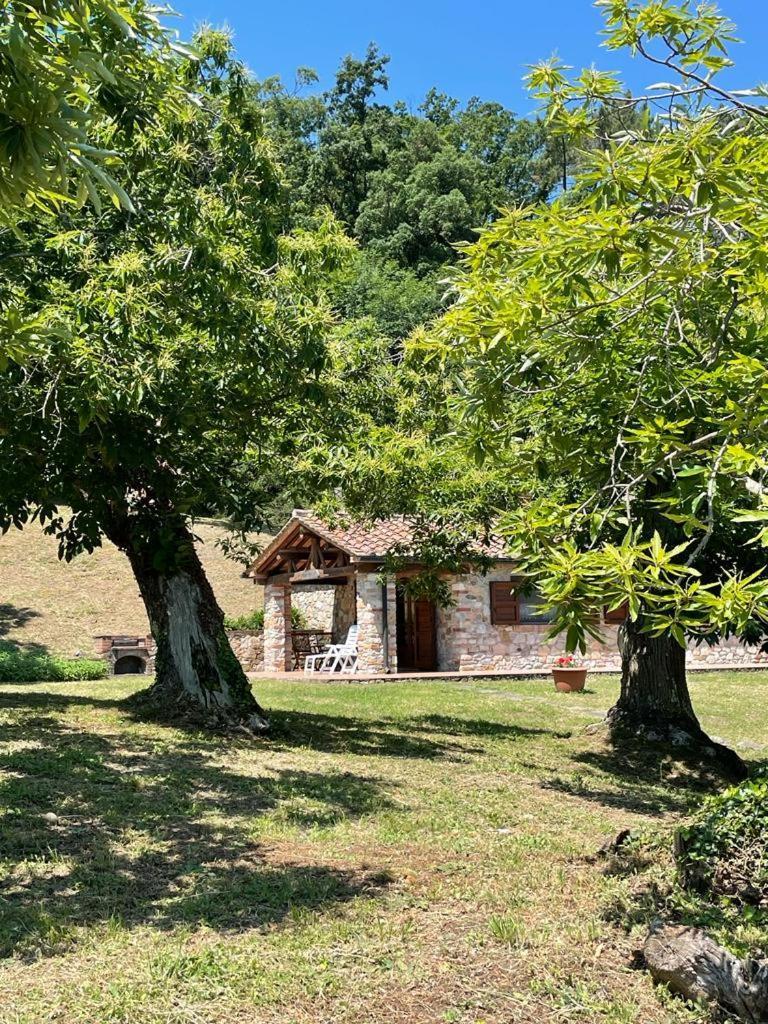 Casa Nel Bosco Villa Sassetta Dış mekan fotoğraf
